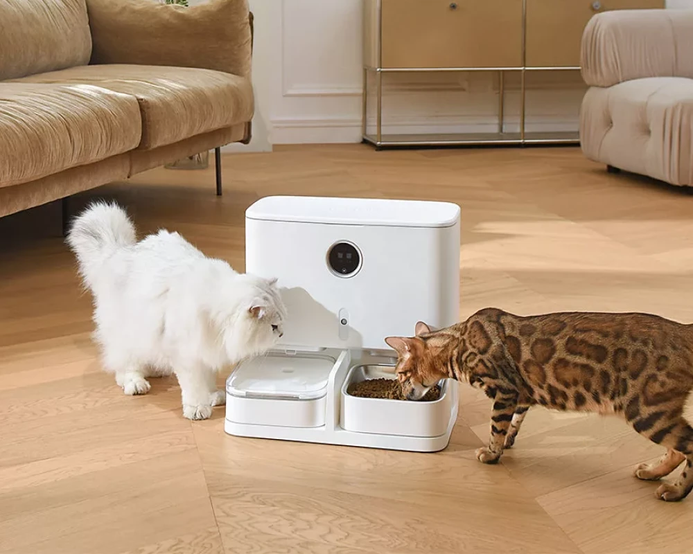 smart automatic pet feeder
