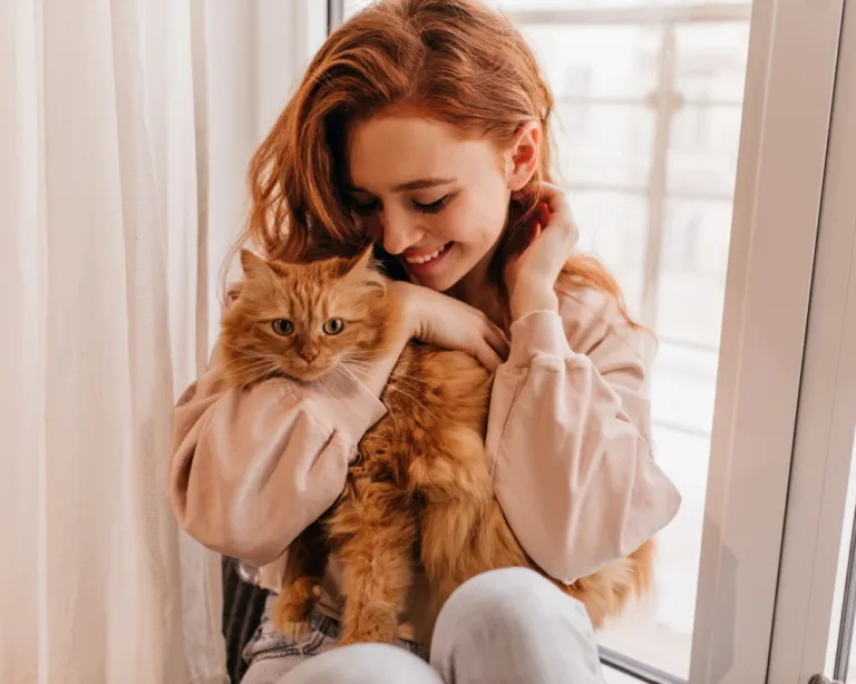 dog food feeder automatic