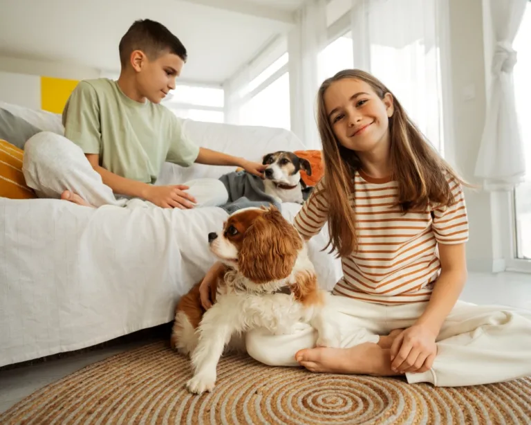 top pets automatic pet feeder